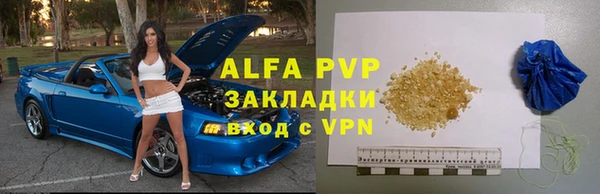 стаф Богданович