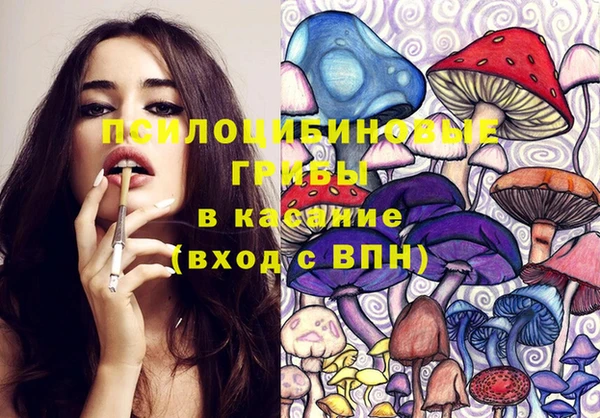 таблы Богородск