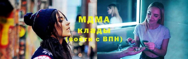 стаф Богданович