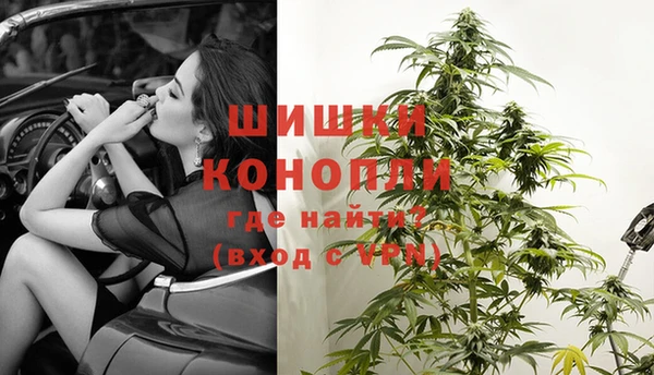 стаф Богданович