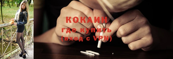 PSILOCYBIN Богородицк