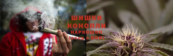 PSILOCYBIN Богородицк