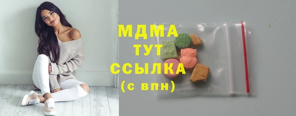 стаф Богданович