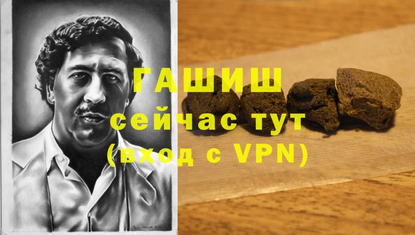 стаф Богданович
