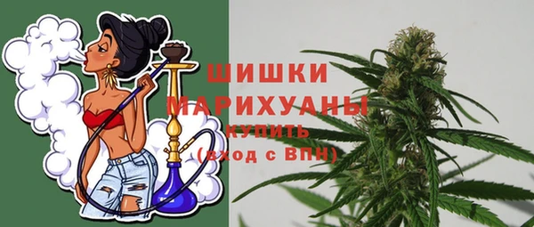PSILOCYBIN Богородицк