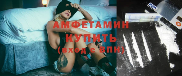 стаф Богданович