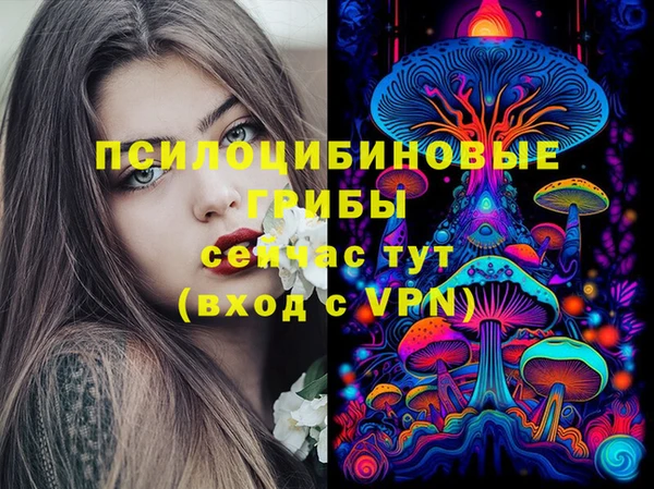 PSILOCYBIN Богородицк