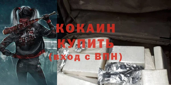стаф Богданович