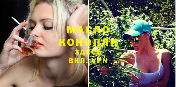 стаф Богданович