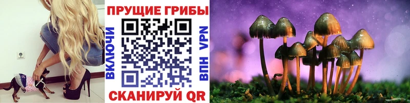 кракен маркетплейс  купить наркотик  Мезень  Галлюциногенные грибы Magic Shrooms 